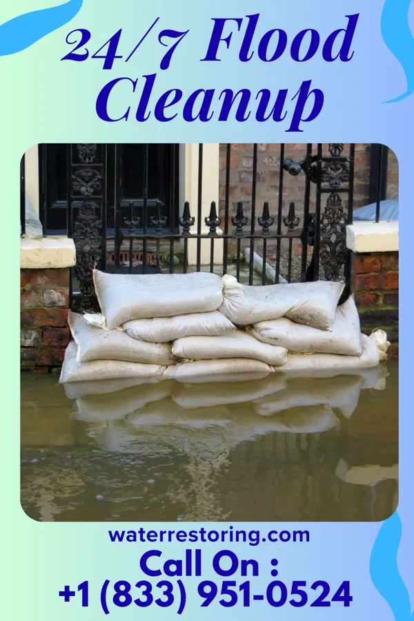 24/7 Flood Cleanup in Philo, OH