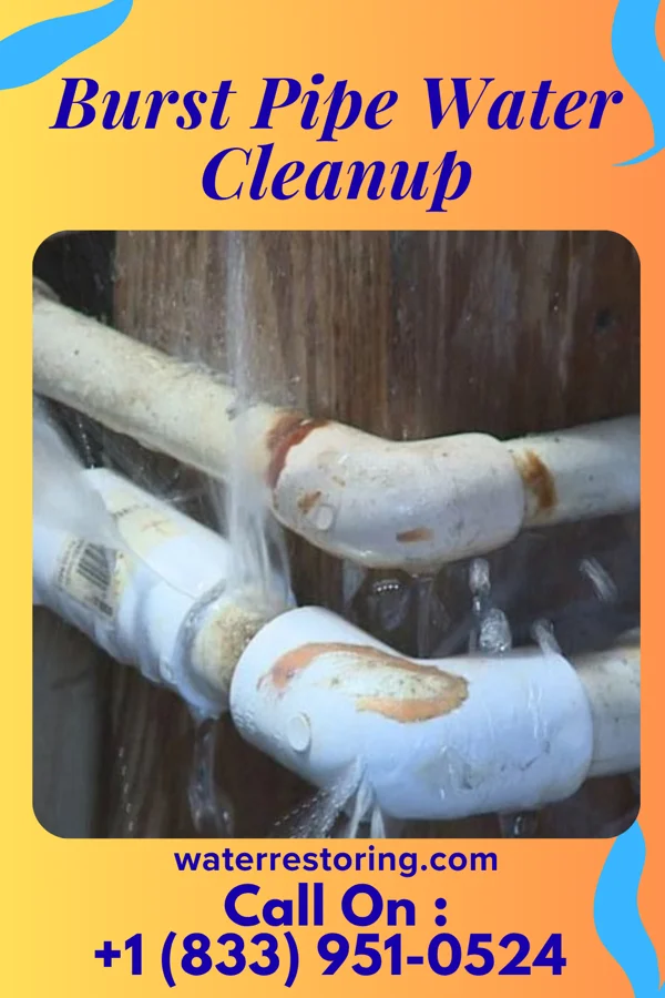 Burst Pipe Water Cleanup in Philo, OH