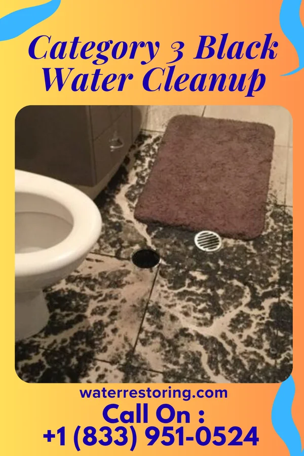 Category 3 Black Water Cleanup in Philo, OH
