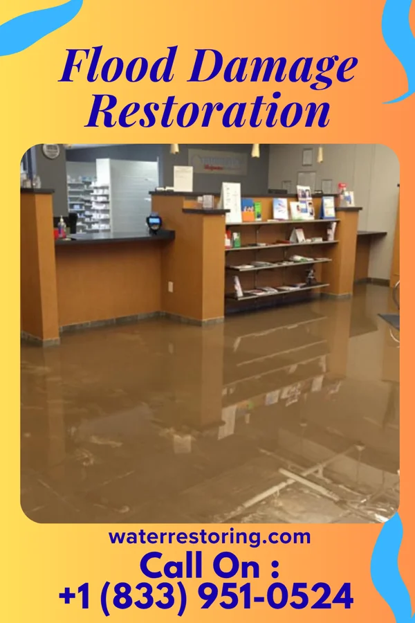 Flood Damage Restoration in Philo, OH