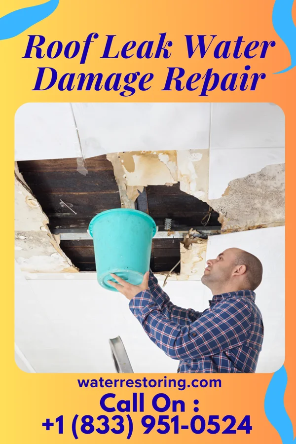 Roof Leak Water Damage Repair in Philo, OH