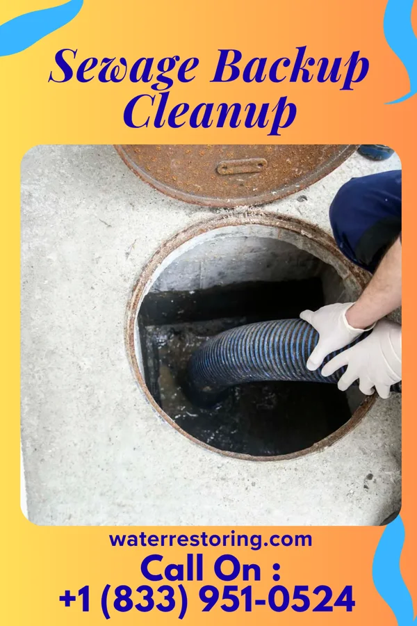 Sewage Backup Cleanup in Philo, OH