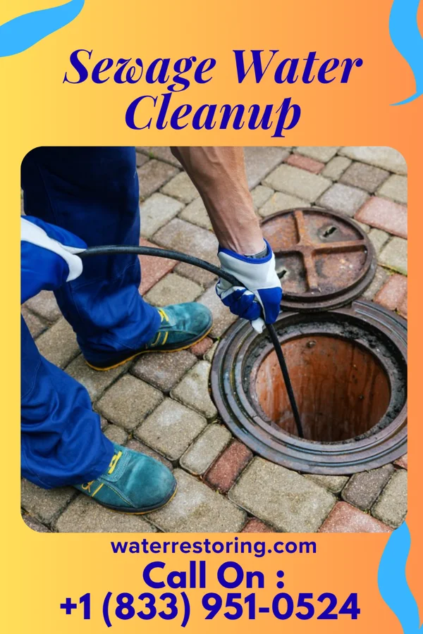 Sewage Water Cleanup in Philo, OH