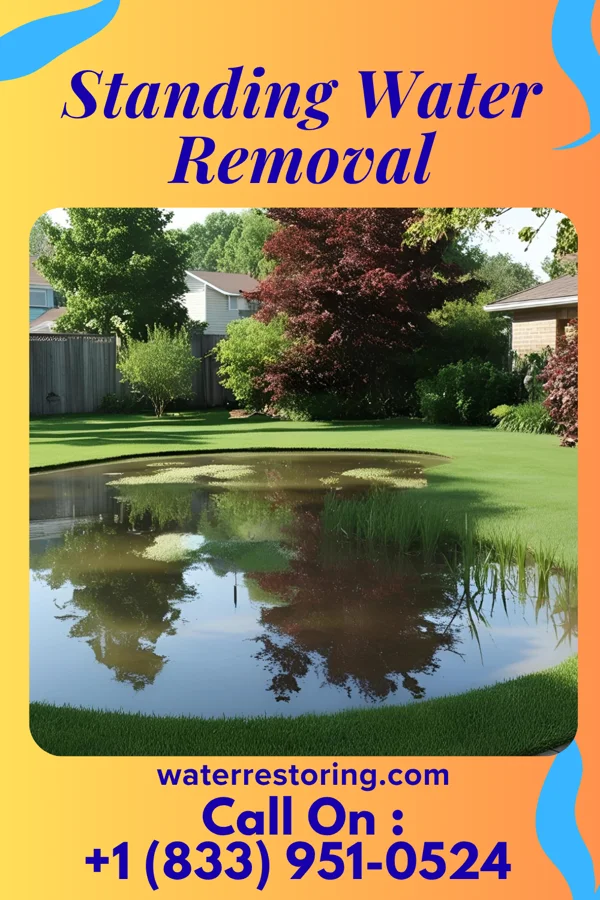 Standing Water Removal in Philo, OH